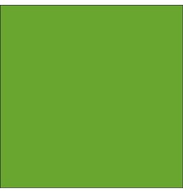 Oracal 631: Lime tree green Mat