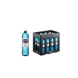 SELTERS Selters Naturell 12 x 1,0 l PET