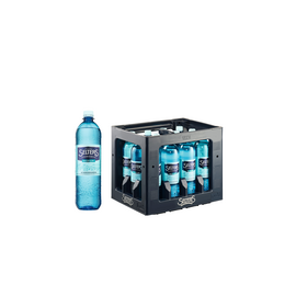 SELTERS Selters Medium 12 x 1,0 l PET