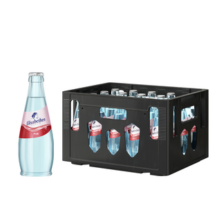 Elisabethen Quelle Elisabethen Exclusiv Pur 20 x 0,25 l Glas
