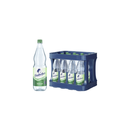 Elisabethen Quelle Elisabethen Medium 12 x 1,0 l PET