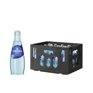 hassia Hassia Sprudel 20 x 0,25 l Glas