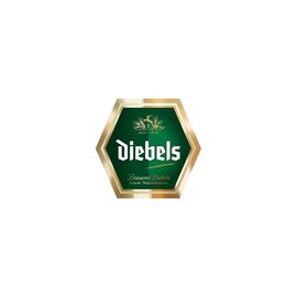 Diebels Diebels Alt 24 x 0,33