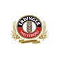 Erdinger Erdinger Kristall 20 x 0,5