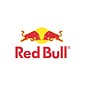 Red Bull Red Bull 24 x 0,25 Dosen