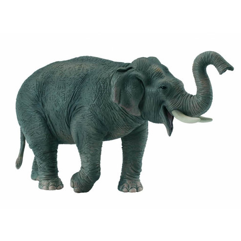 Collecta Collecta éléphant d'Asie