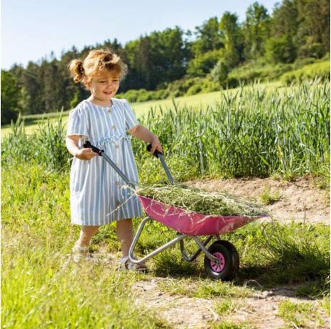 Commandez dès maintenant le Brouette en métal rose