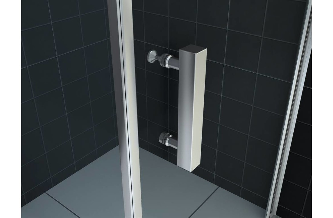 Slide douche schuifdeur nis 100-110x200 cm 2-delig