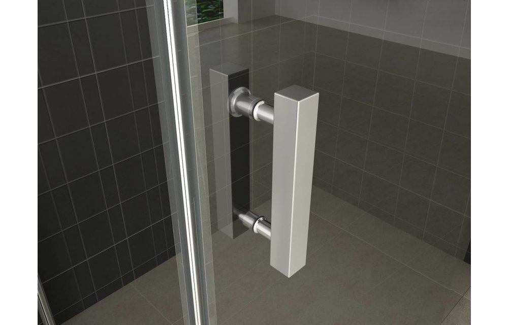 Enter ST douchedeur nisdeur 110 (60-50) x 200 helder glas