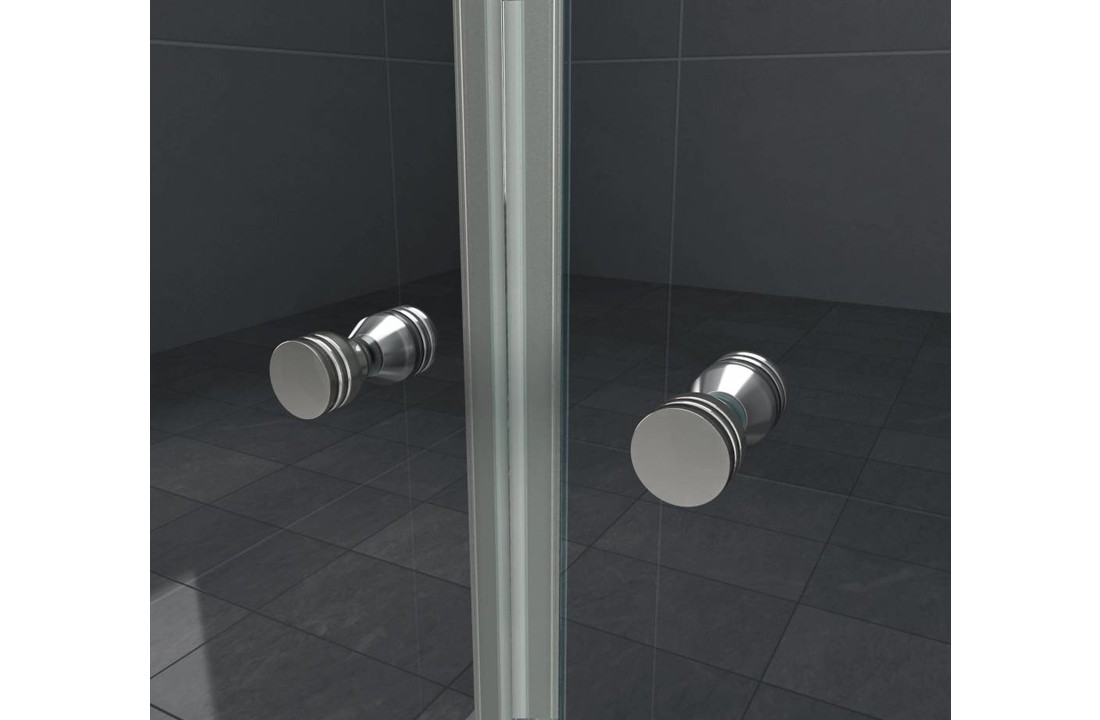 Swing Douchedeur Pendeldeur 75x195 cm Helder Glas