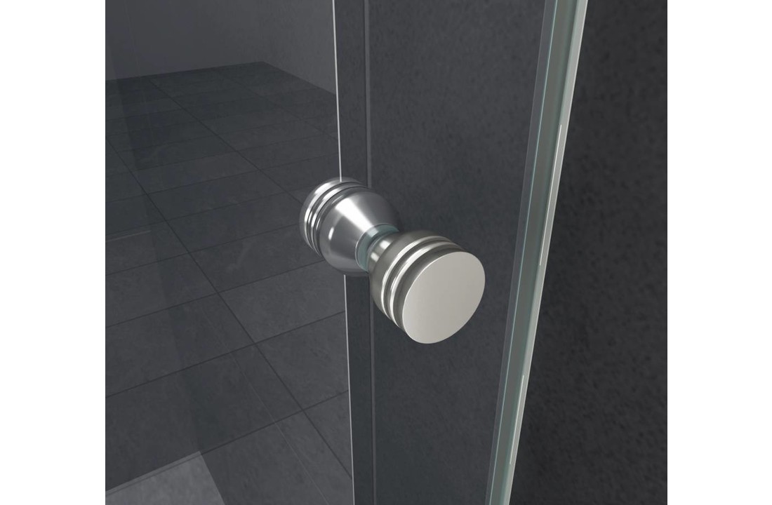 Enter douchedeur 120x195 cm nisdeur 8 mm veiligheidsglas