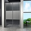 Rheiner Swing-Cover Douchedeur Pendeldeur 100x195 cm Gedeeltelijk Matglas