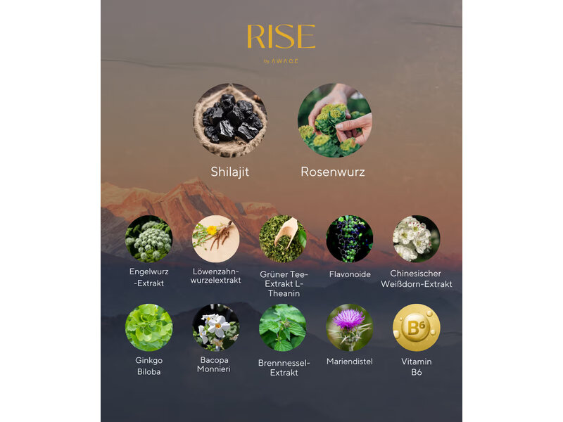 RISE – Liquid Plant Complex with Shilajit & Rhodiola