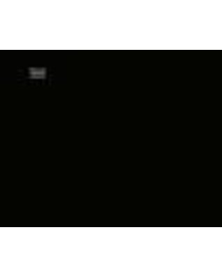 alternatief inkt cartridge voor Epson T1579 Stylus foto R3000 light light zwart