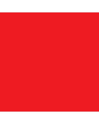 alternatief inkt cartridge voor Epson T1597 Stylus foto R2000 Rood