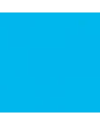 alternatief inkt cartridge voor Epson T1592 Stylus foto R2000 cyan