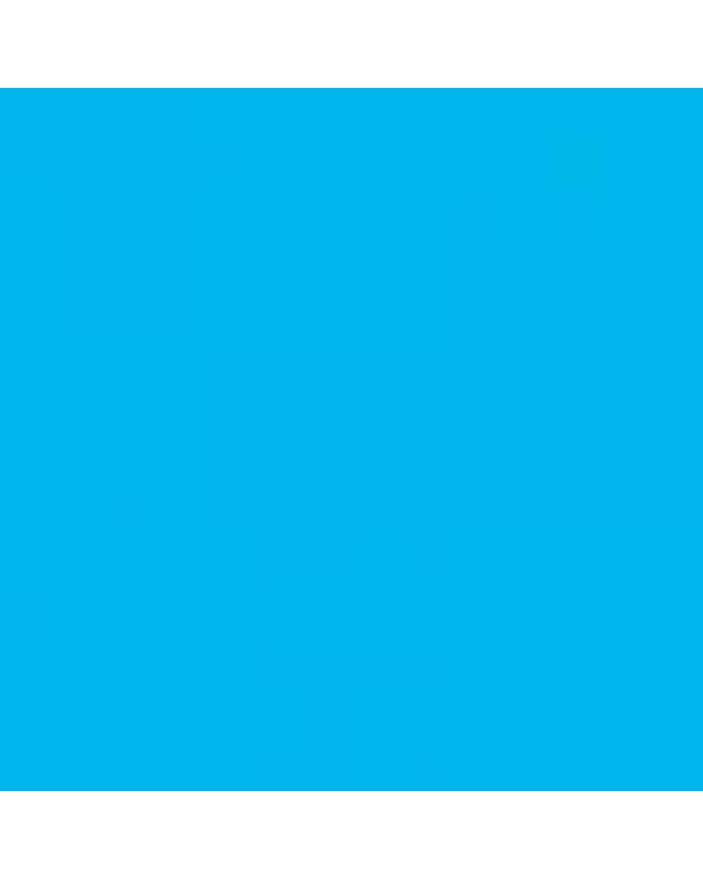 alternatief inkt cartridge voor Epson T1592 Stylus foto R2000 cyan
