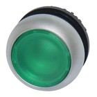 Push button element transparent green for LED indication