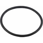 O-ring ten behoeve van waterfilterhuis 1 1/2"