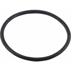 O-ring ten behoeve van waterfilterhuis 1 1/2"