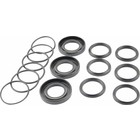 Sealing Kit Speck hp pump P-45/85-180 and ROM100-150