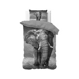 Elegant Elephant Anthracite