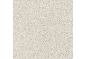 Now or Never 03 - Zand