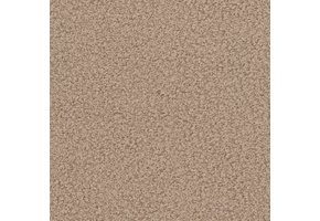 Now or Never 14 - Lichttaupe