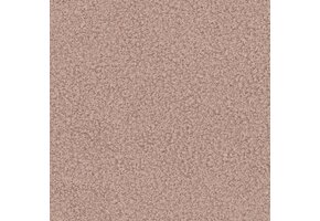 Now or Never 61 - Lichtroze