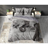 Animal Family Anthracite