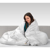 Goozzy 80% eendendonsvezels - 20% eendendons | 4-seizoenen - Dubbel Dekbed