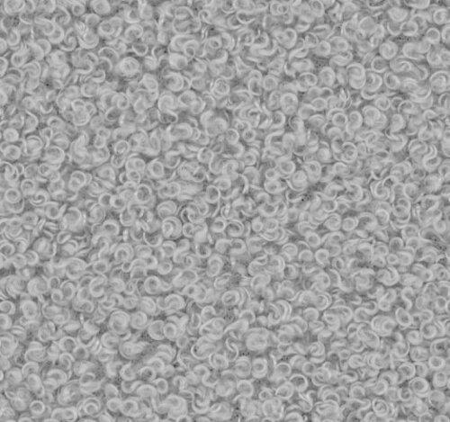 Now or Never 83 - Grijs