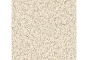 Now or Never 02 - Beige