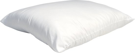 Polar Bear Hoofdkussen