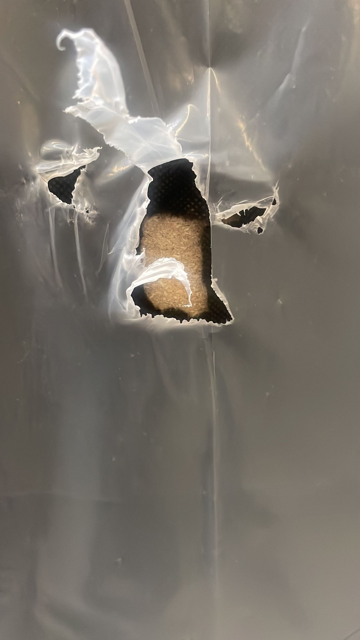 2dekans Boxspring Basic 90 x 200 Zwart -stofschade achterdoek [Niet in originele verpakking]