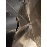 2dekans Hoofdbord Basic 140 x 100 - Beige - Schade achterkant