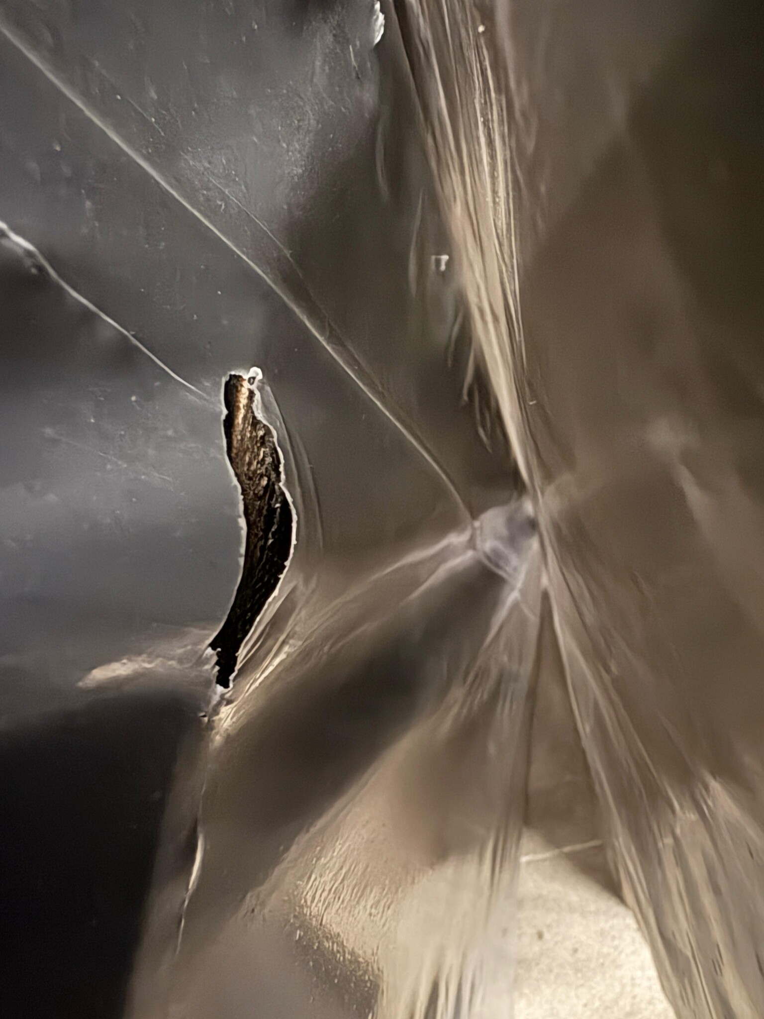 2dekans Hoofdbord Basic 140 x 100 - Beige - Schade achterkant