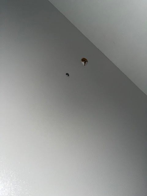 2dekans Opberg boxspring - Antislip - 160 x 200 Antraciet - Pocketvering 500 - Zonder Hoofdbord - (Gaten in opbergruimte)