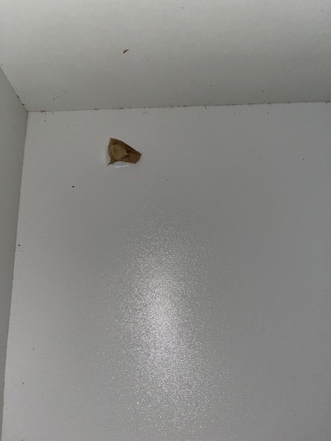 2dekans Opberg boxspring - Antislip - 160 x 200 Antraciet - Pocketvering 500 - Zonder Hoofdbord - (Gaten in opbergruimte)