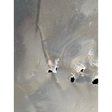 2dekans Vaste Boxspring Box Zonder Matras 90 x 200 Zwart  - (Lichte stofschade onderkant / Niet zichtzijde - Niet in originele verpakking)