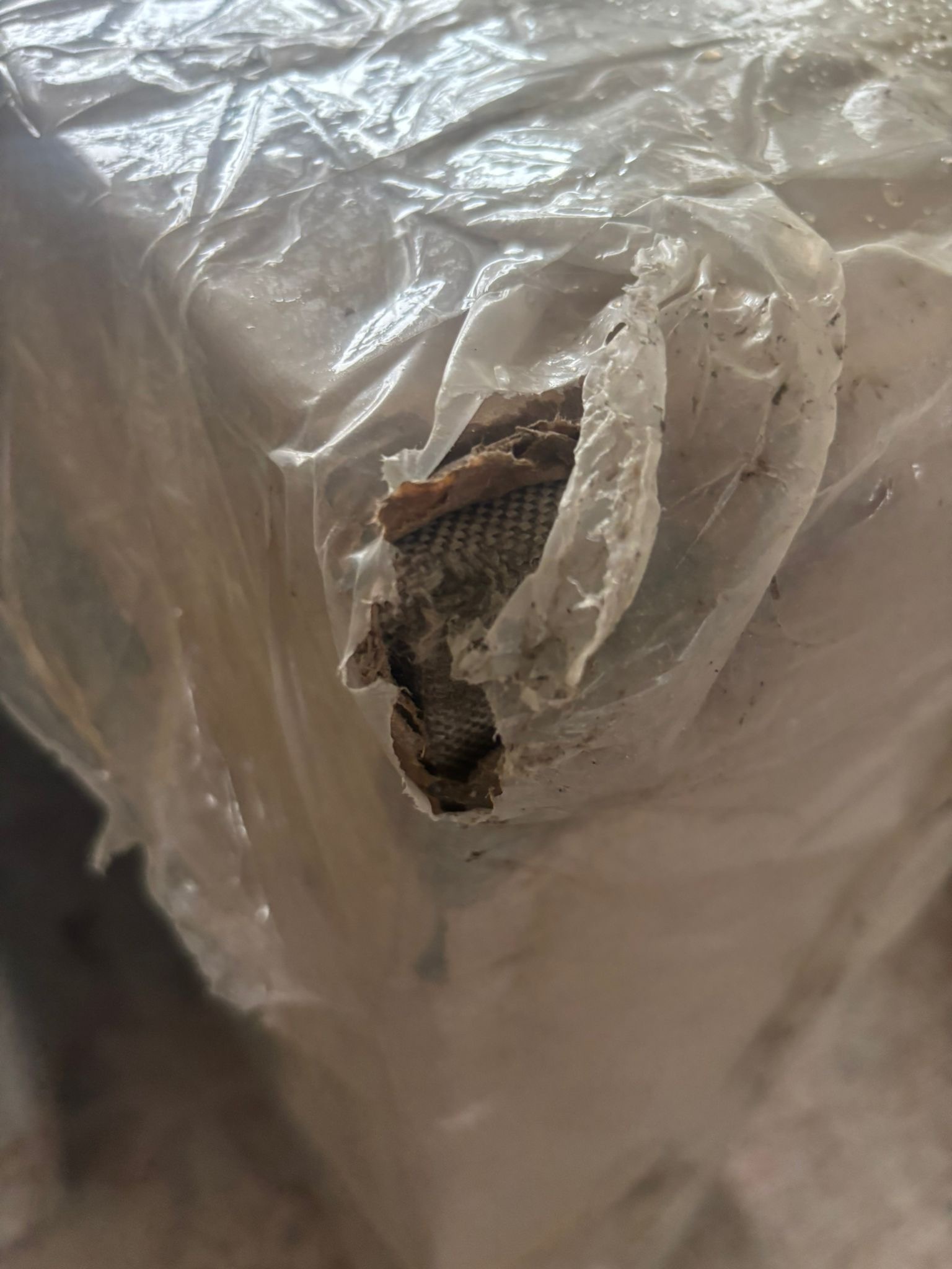 2dekans Elektrische Boxspring Delux  King - Beige | 180 x 200 Zwart (Vlekken + Stofschade - Niet in originele verpakking - Kans op schade)