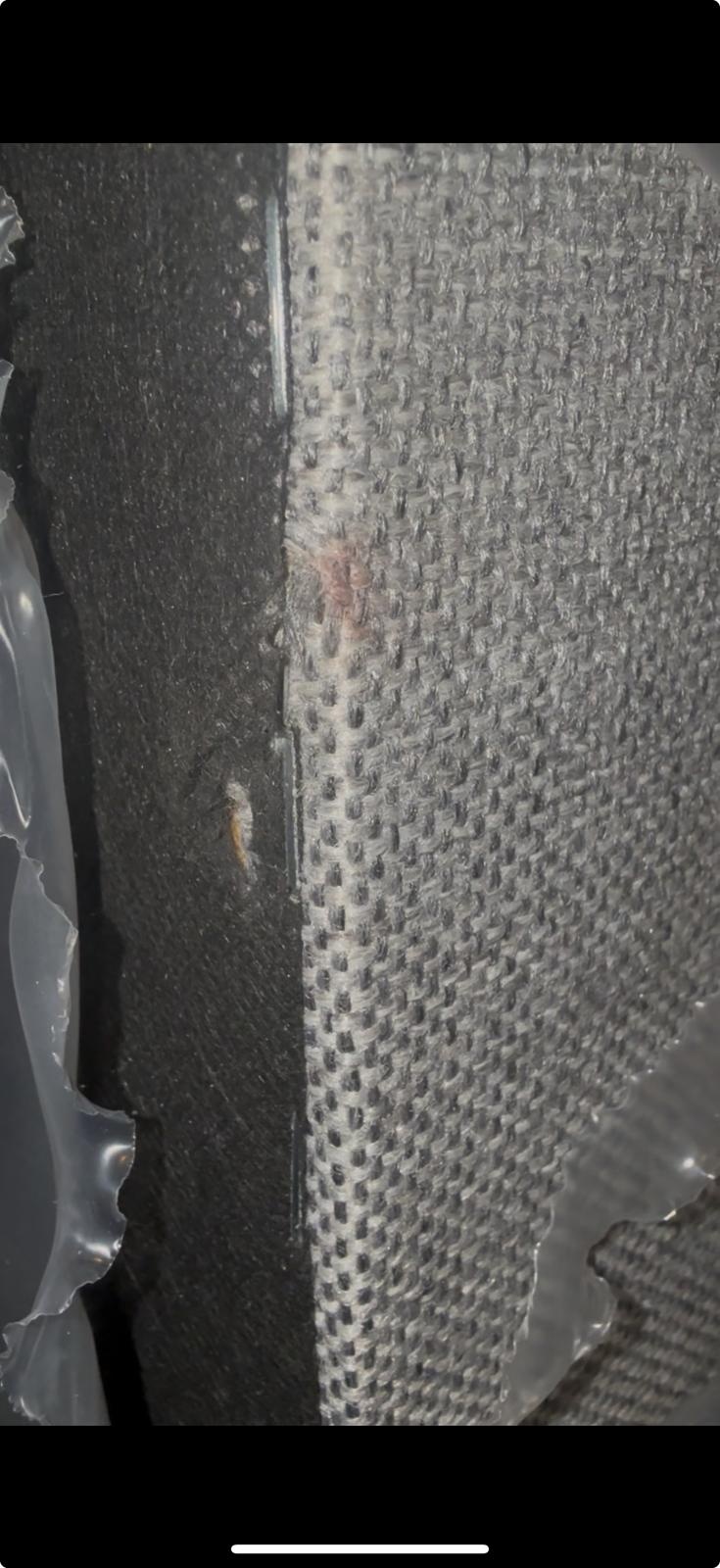 2dekans Opberg Box met Lade - Rechts | 70 x 200 Grijs - incl. Matras  (Stofschade - Niet in originele verpakking - Kans op schade)