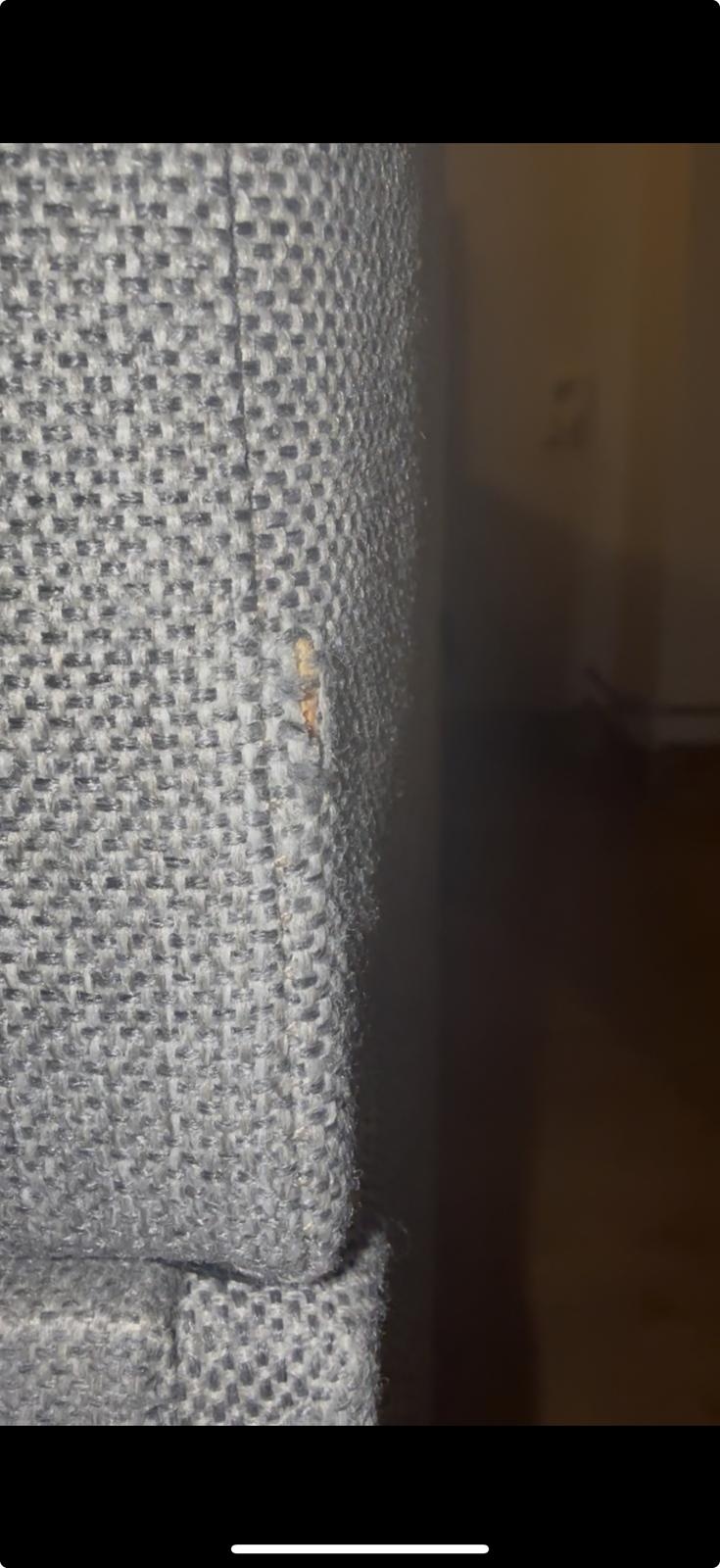 2dekans Opberg Box met Lade - Rechts | 70 x 200 Grijs - incl. Matras  (Stofschade - Niet in originele verpakking - Kans op schade)