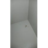 2dekans Opberg Boxspring Chevron 160 x 200 Velvet Licht Grijs - Krakend geluid + Schade - Niet in originele verpakking