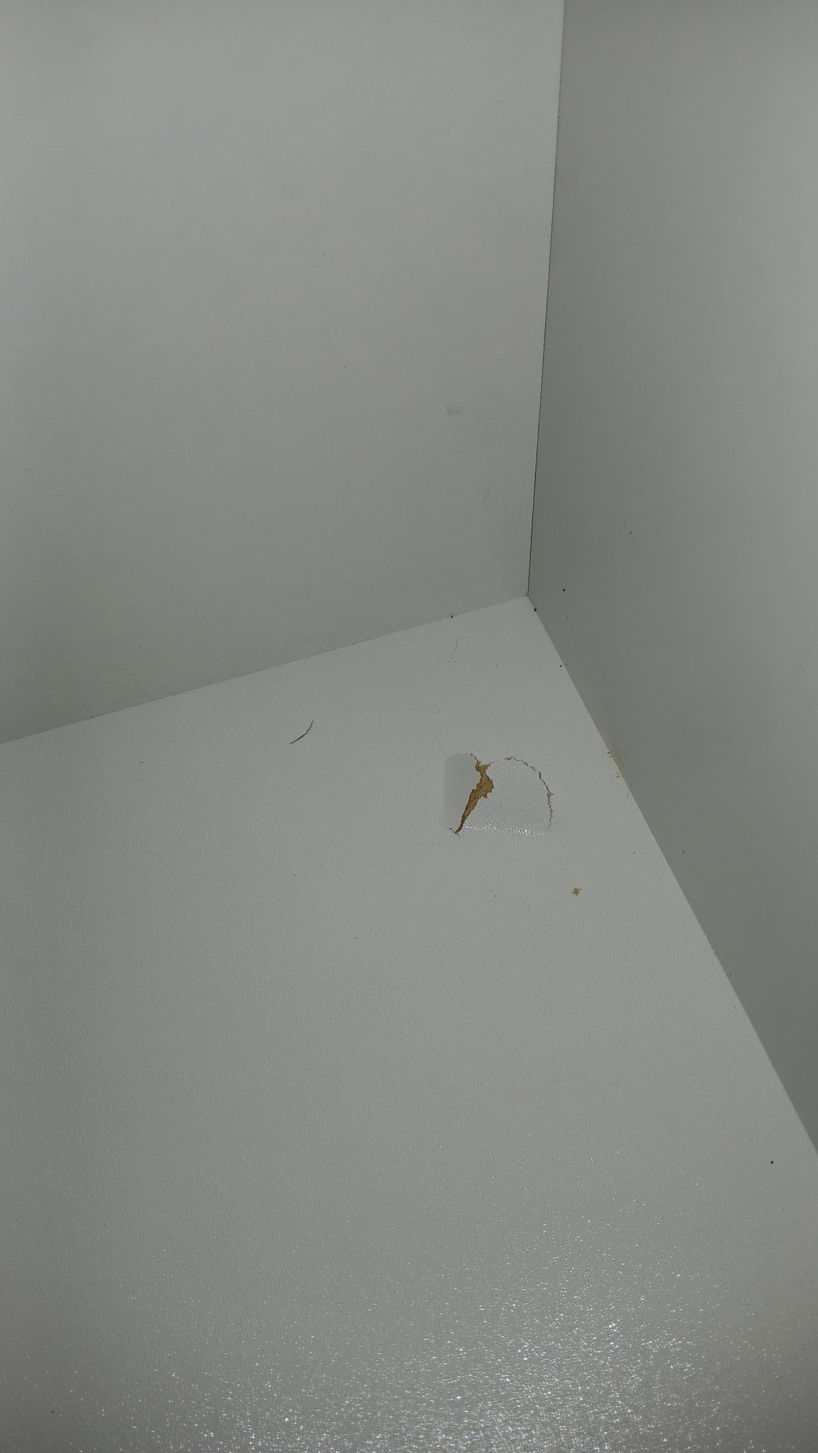 2dekans Opberg Boxspring Chevron 160 x 200 Velvet Licht Grijs - Krakend geluid + Schade - Niet in originele verpakking