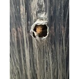 2dekans Boxspring Basic 180 x 200 Antraciet - Incl Koudschuim 12 cm Topper (Stofdoek onderzijde boxen kapot en zijkant ingedeukt - Niet in originele verpakking)