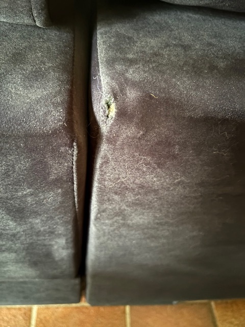 2dekans Slaapbank met opbergruimte Nero | U-bank | Velvet Zwart - (Lichte stofschade achterzijde + niet in originele verpakking)