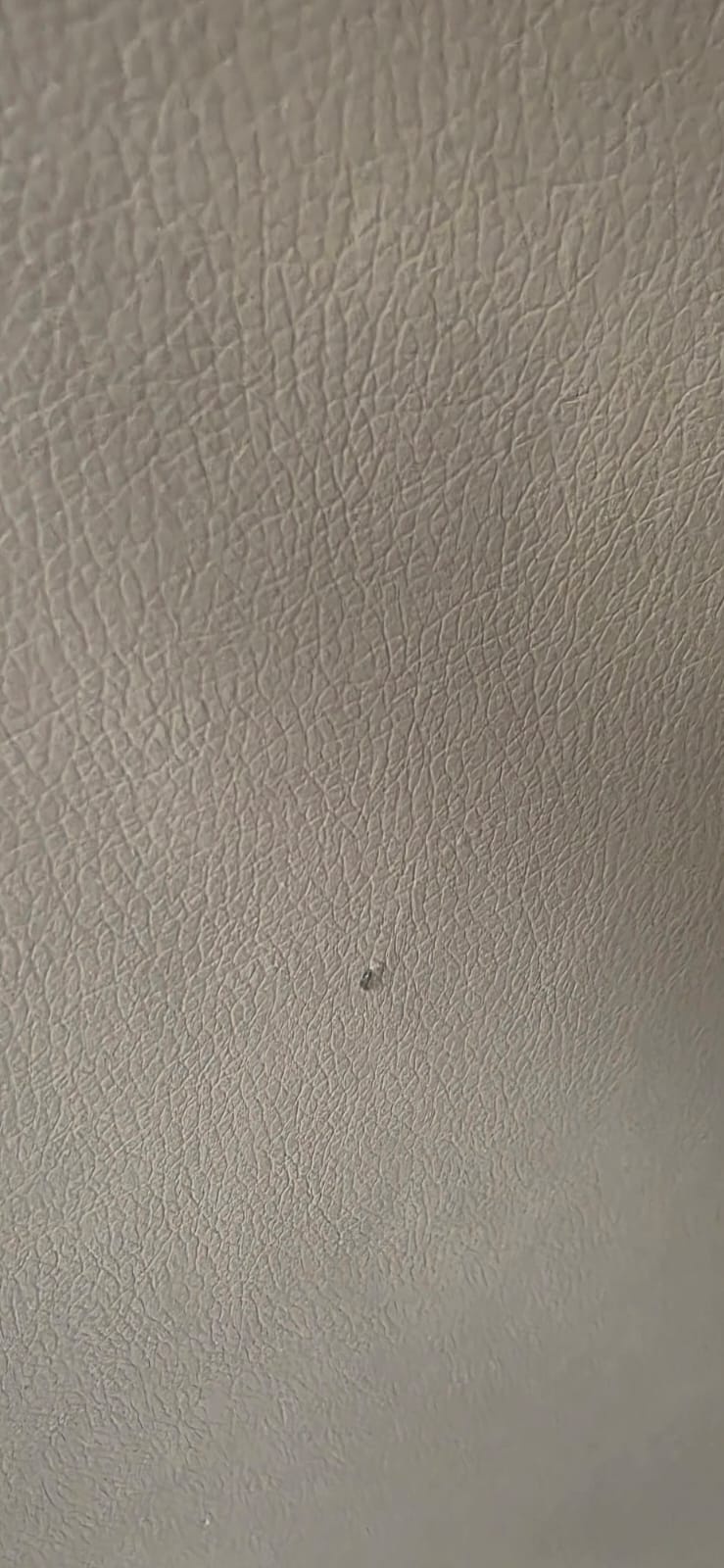 2dekans Slaapbank met opbergruimte Max | Hoekbank Rechts - Skaileer Beige (Stofschade - Rugleuning Hoogteverschil - Niet in originele verpakking)