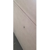 2dekans Opberg Box Rechts - 90 x 200 Beige - incl. Matras - 1 geleider zijkant  (Stofschade- Niet in originele verpakking - Kans op schade)