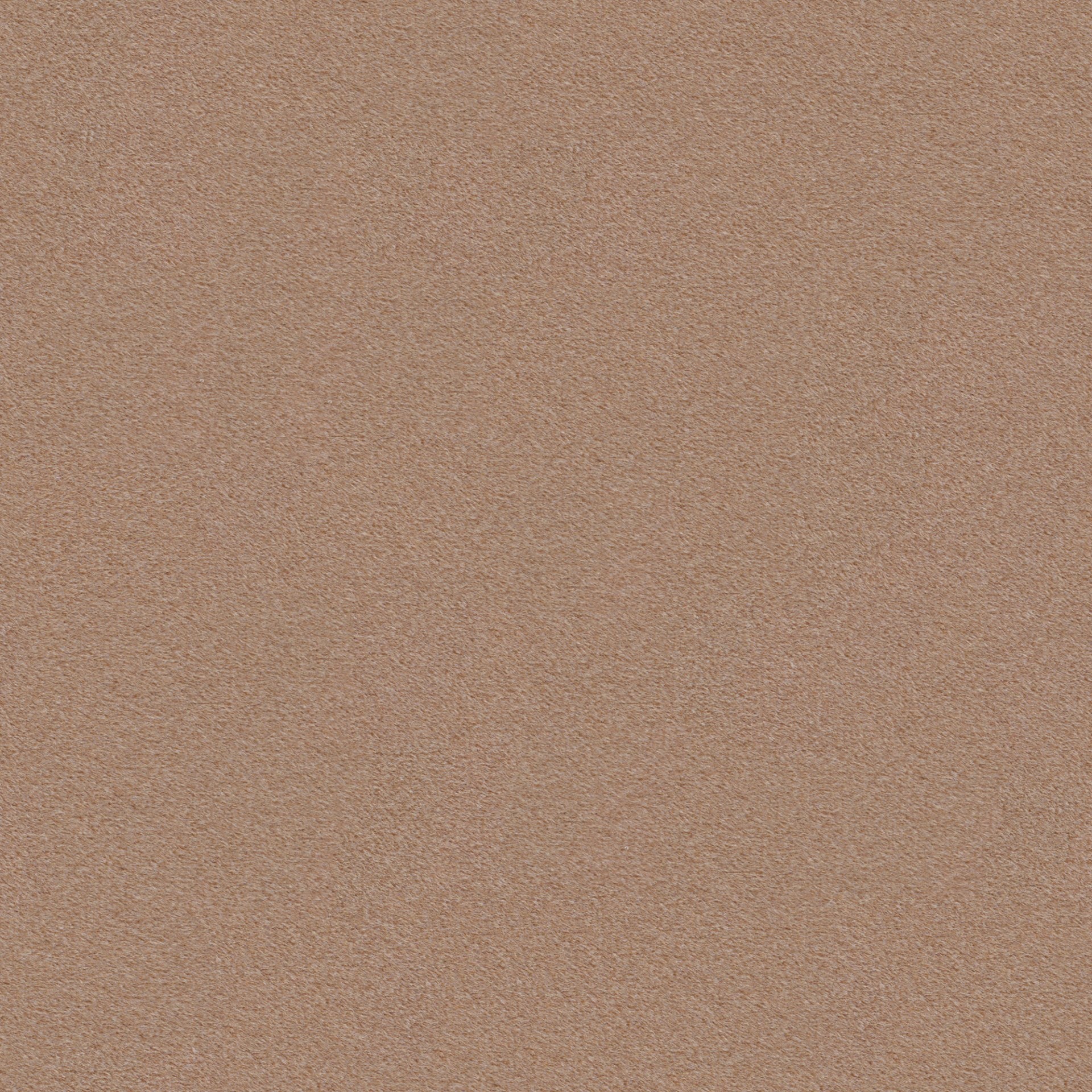 Velvet Beige - Runo 17